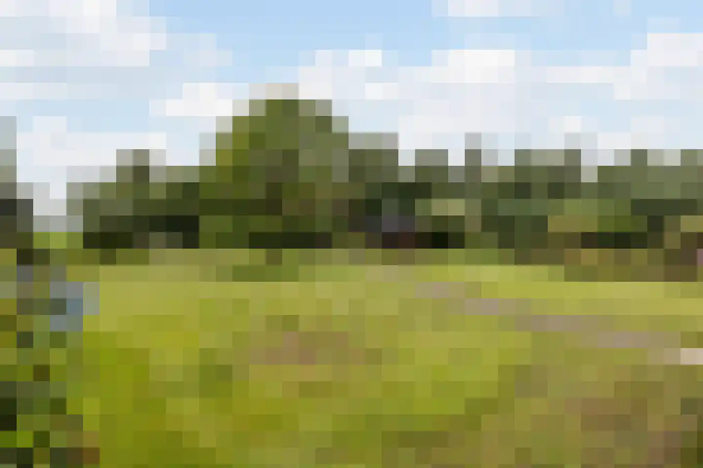 Mr. J.B. Kanweg 5 A Witteveen thumbnail 94