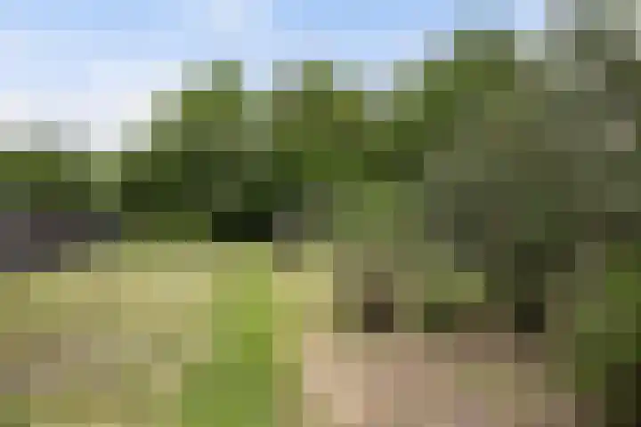 Mr. J. de Blieckweg 29 Koekange thumbnail 5