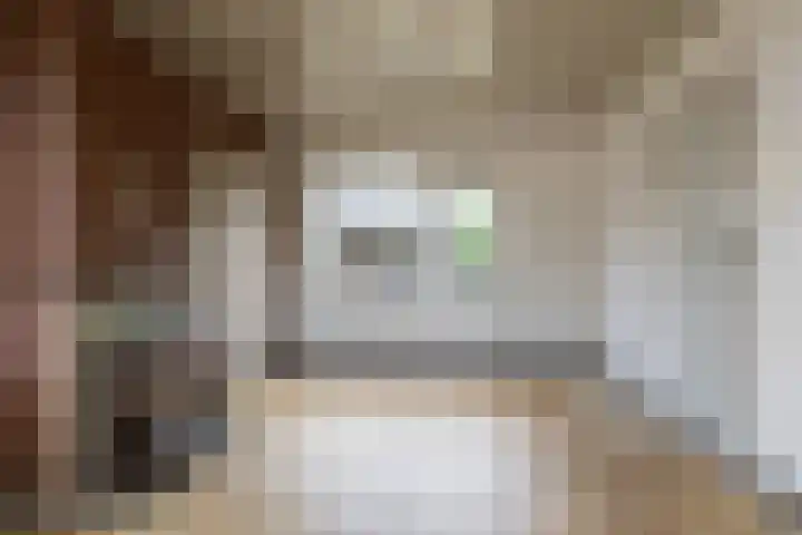 Mr. J. de Blieckweg 29 Koekange thumbnail 8