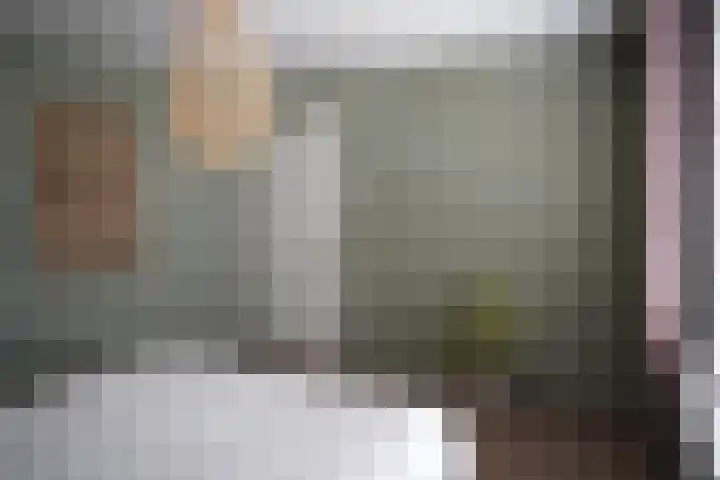 Mr. J.E. Risseeuwstraat 15 Oostburg thumbnail 22