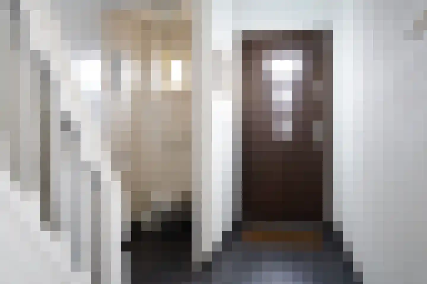 Mr. J.E. Risseeuwstraat 3 Oostburg thumbnail 16