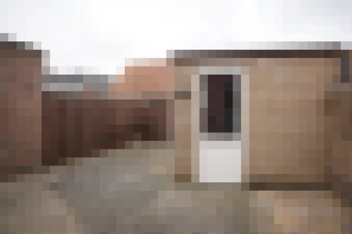 Mr. J.E. Risseeuwstraat 3 Oostburg thumbnail 35