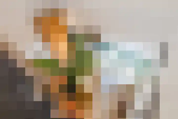 Mr. J.H. de Pontplein 27 Tilburg thumbnail 19