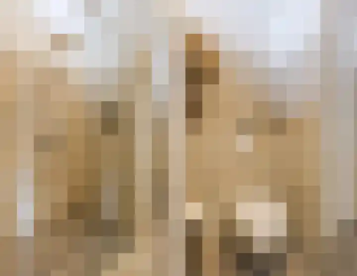 Mr. J.H. de Pontplein 27 Tilburg thumbnail 22