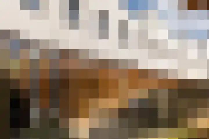 Mr. J.H. de Pontplein 27 Tilburg thumbnail 28