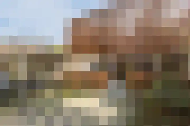 Mr. J.H. de Pontplein 27 Tilburg thumbnail 29
