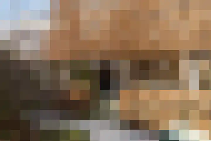 Mr. J.H. de Pontplein 27 Tilburg thumbnail 30
