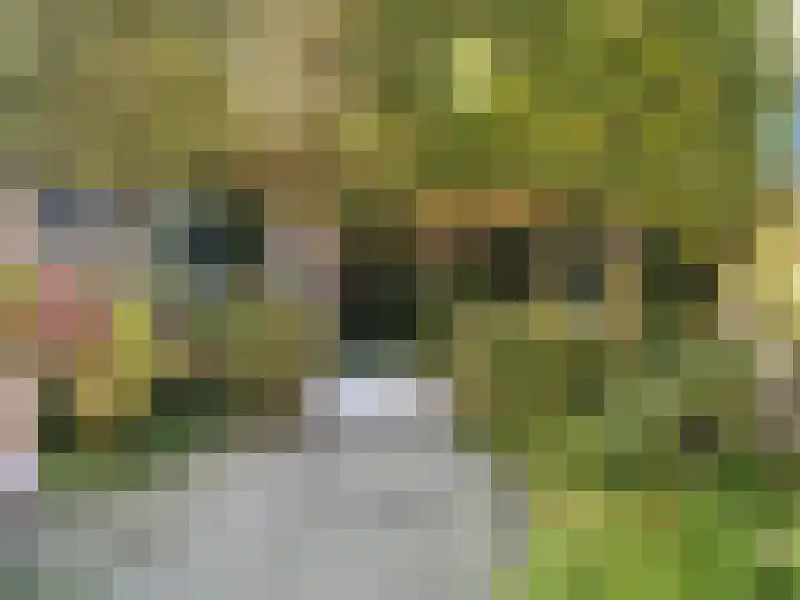 Mr. J.H. de Pontplein 27 Tilburg thumbnail 31