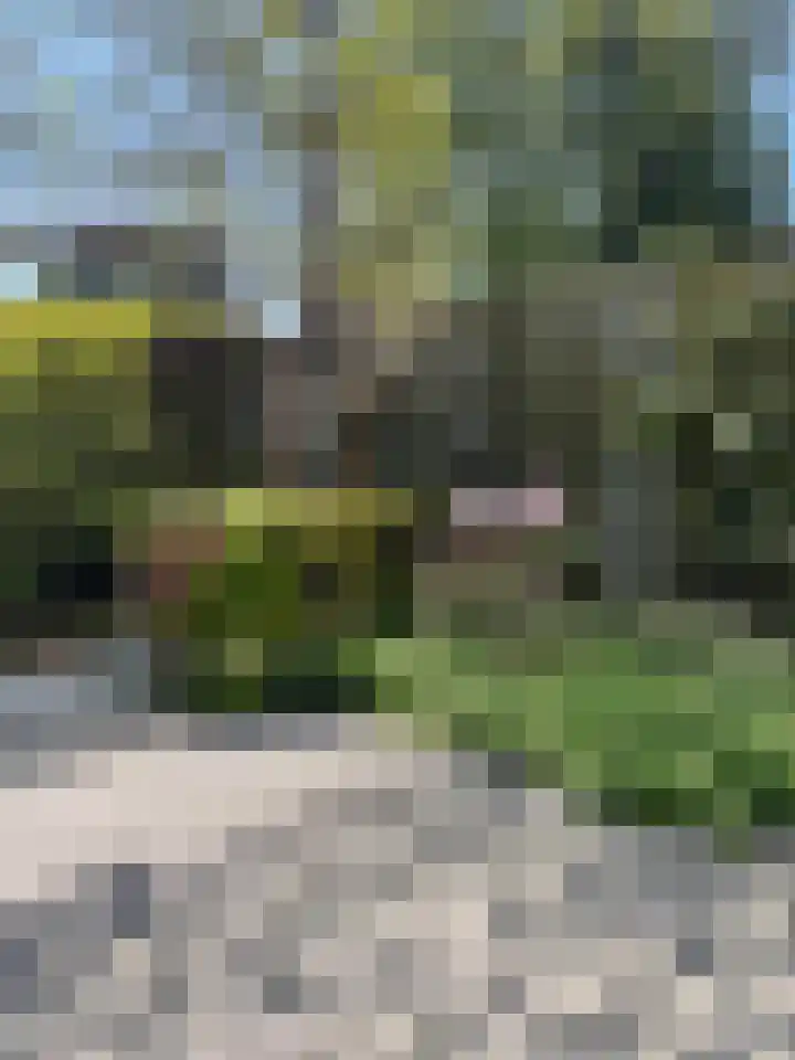 Mr. J.H. de Pontplein 27 Tilburg thumbnail 33