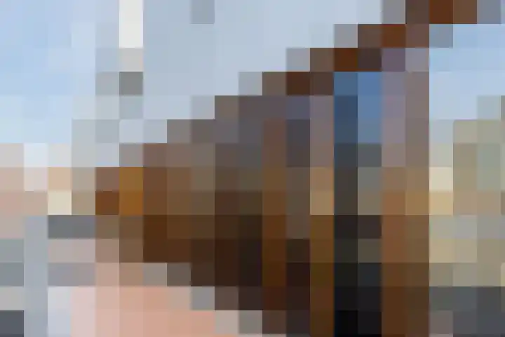 Mr. J.H. de Pontplein 27 Tilburg thumbnail 35