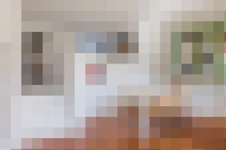 Mr. J.H. de Pontplein 27 Tilburg thumbnail 8