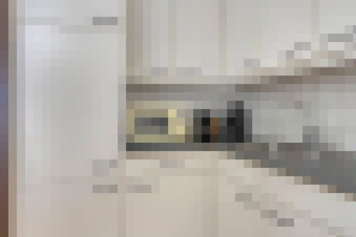 Mr. J.H. de Pontplein 66 Tilburg thumbnail 13