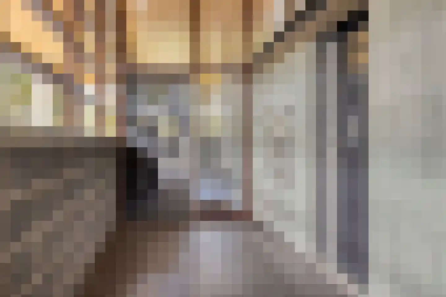Mr. J.H. de Pontplein 66 Tilburg thumbnail 30