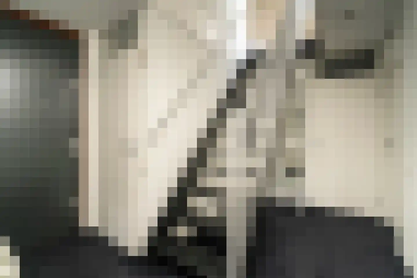 Mr. J.H. de Pontplein 69 Tilburg thumbnail 12