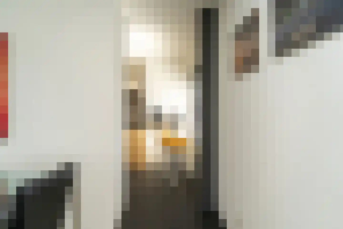Mr. J.H. de Pontplein 69 Tilburg thumbnail 18
