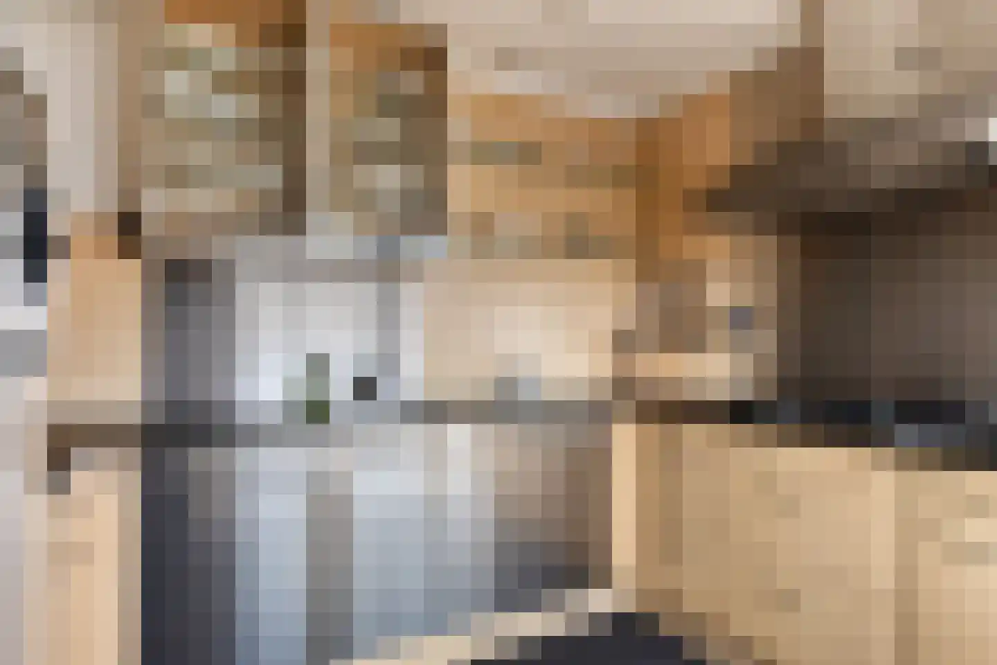 Mr. J.H. de Pontplein 69 Tilburg thumbnail 20