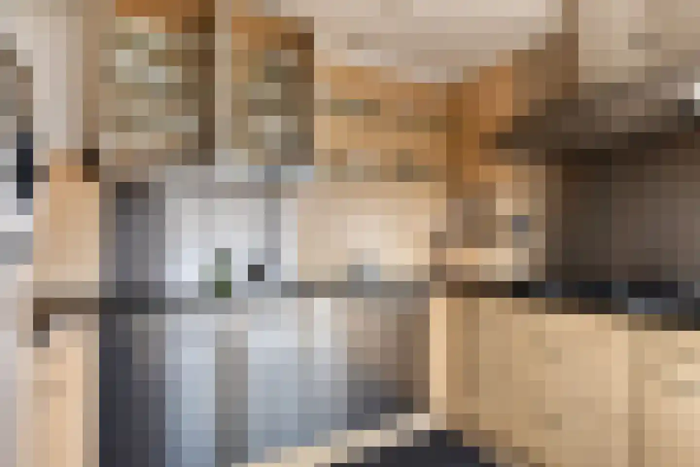 Mr. J.H. de Pontplein 69 Tilburg thumbnail 20