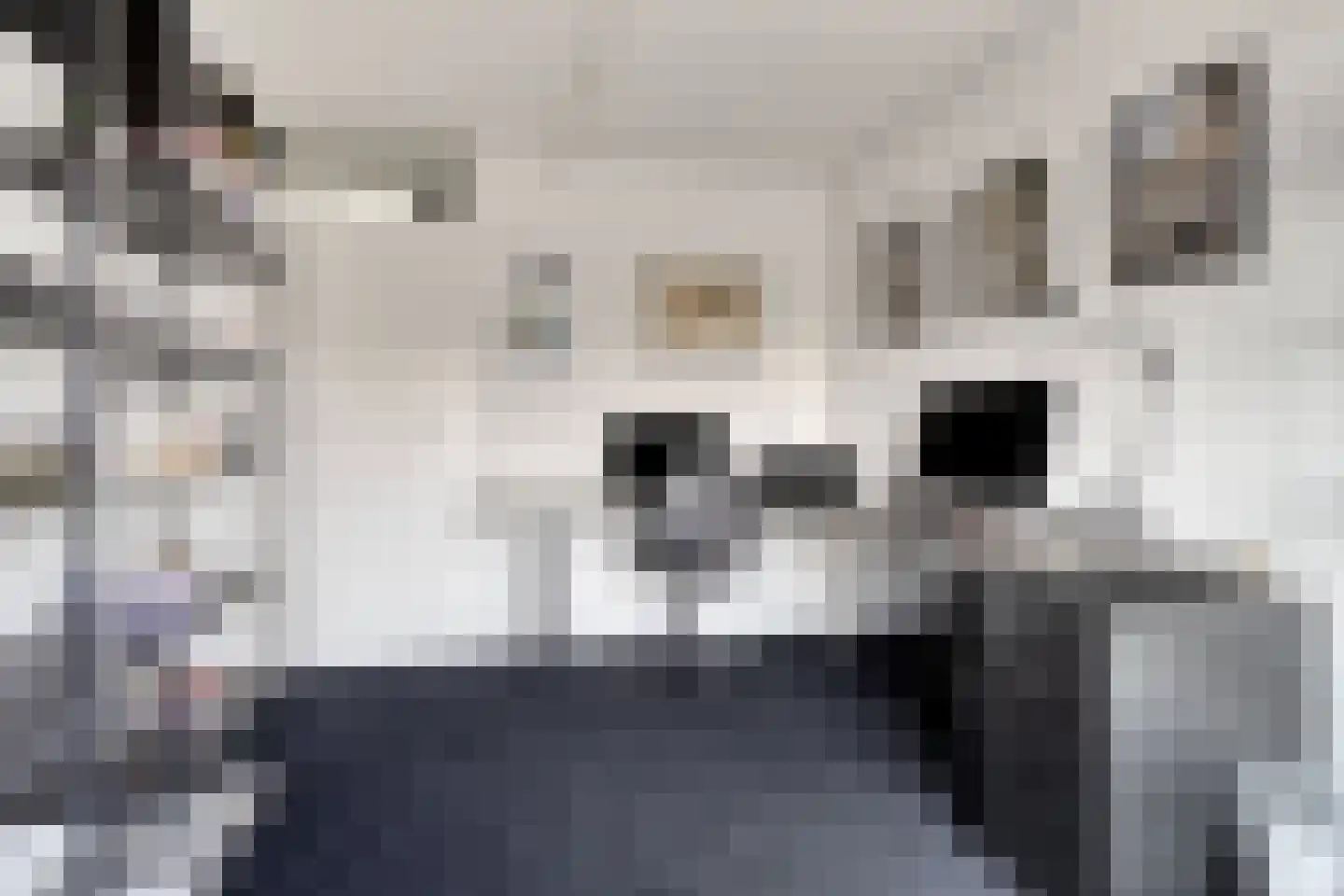 Mr. J.H. de Pontplein 69 Tilburg thumbnail 23