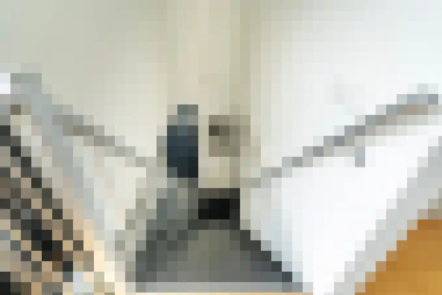 Mr. J.H. de Pontplein 69 Tilburg thumbnail 27