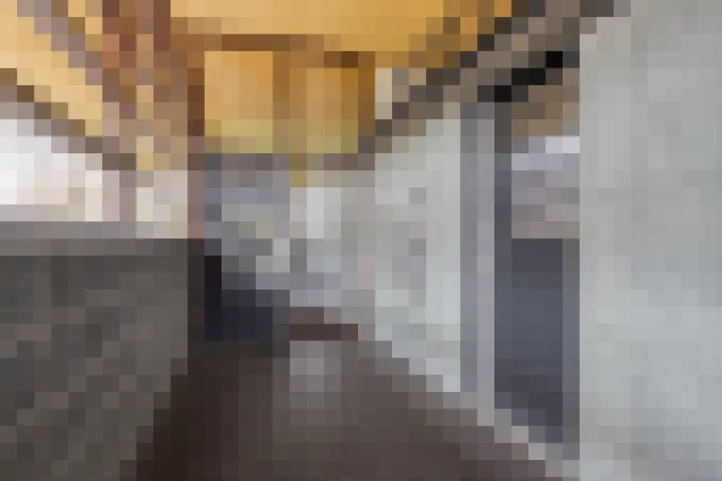 Mr. J.H. de Pontplein 69 Tilburg thumbnail 7