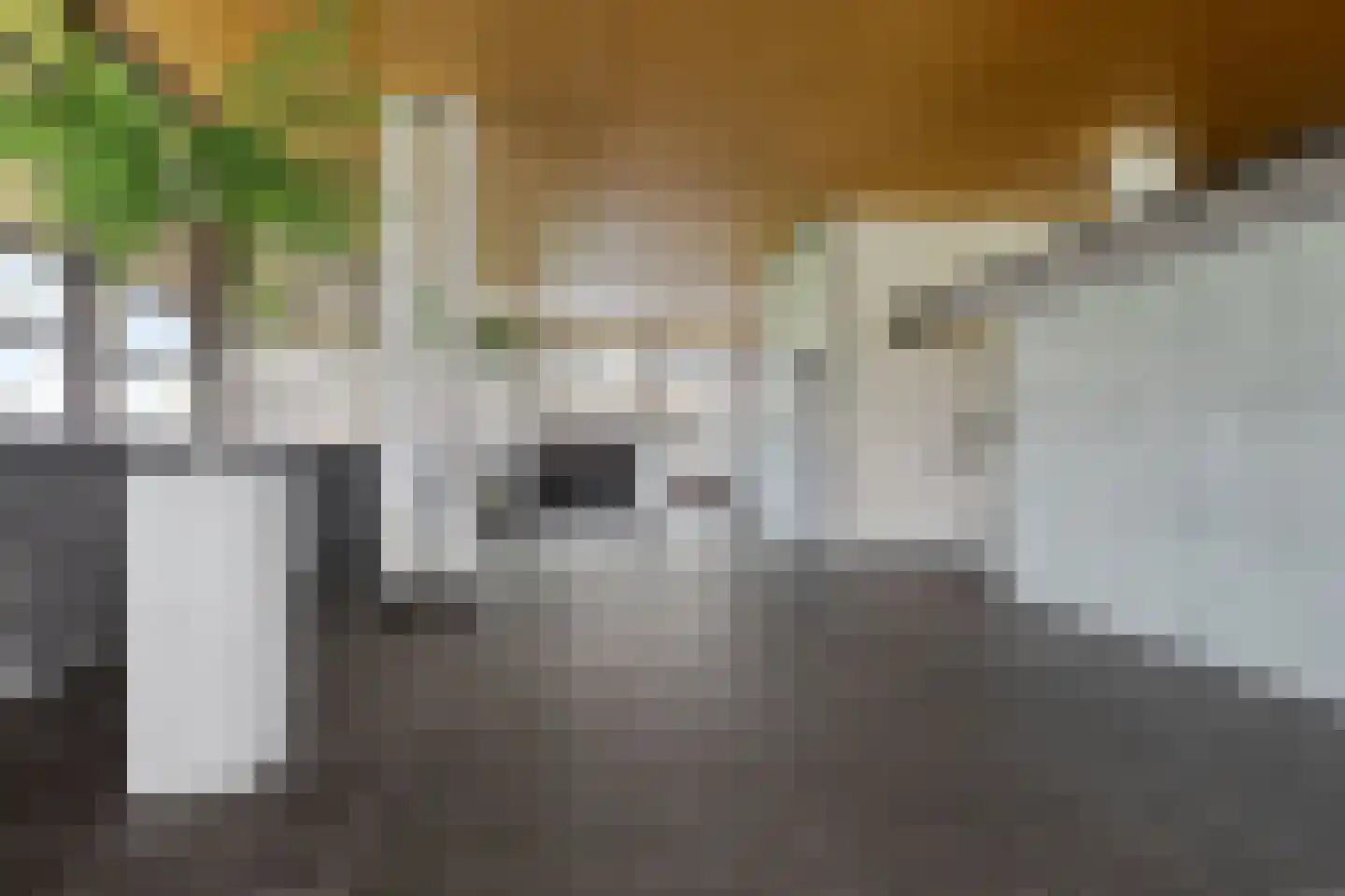 Mr. J.H. de Pontplein 69 Tilburg thumbnail 7