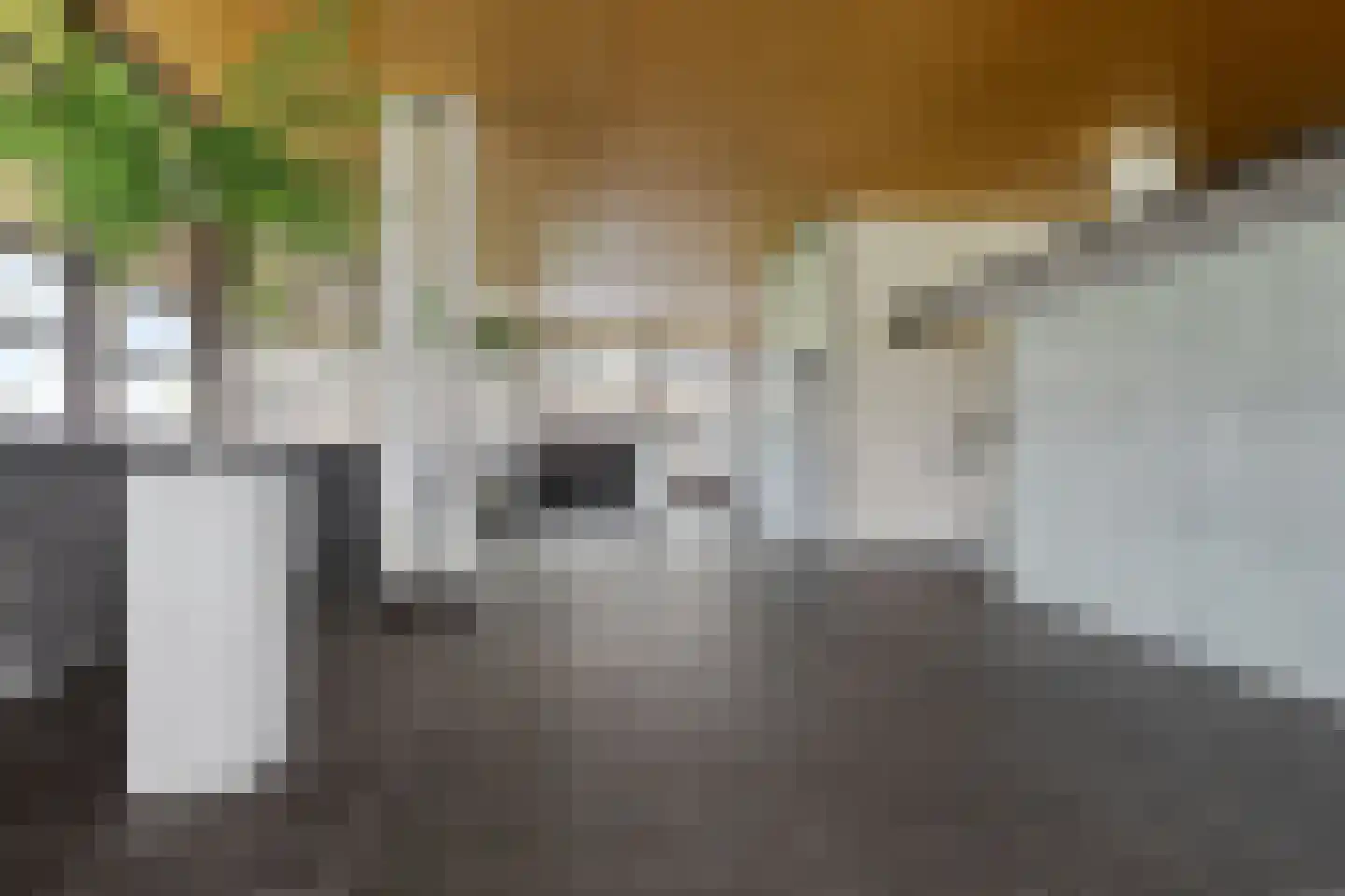 Mr. J.H. de Pontplein 69 Tilburg thumbnail 8
