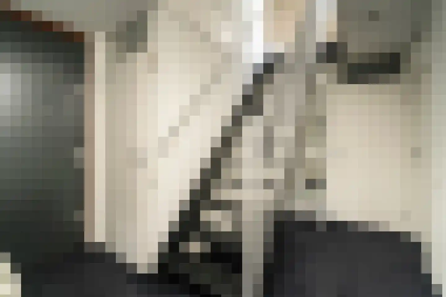 Mr. J.H. de Pontplein 69 Tilburg thumbnail 9