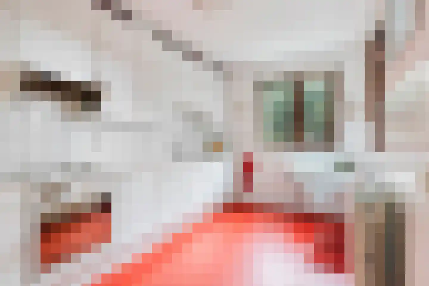Mr. J.L. Hamminglaan 12 Waalre thumbnail 18