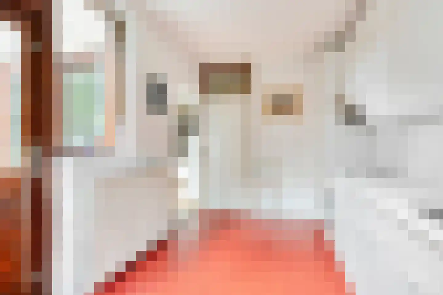 Mr. J.L. Hamminglaan 12 Waalre thumbnail 19