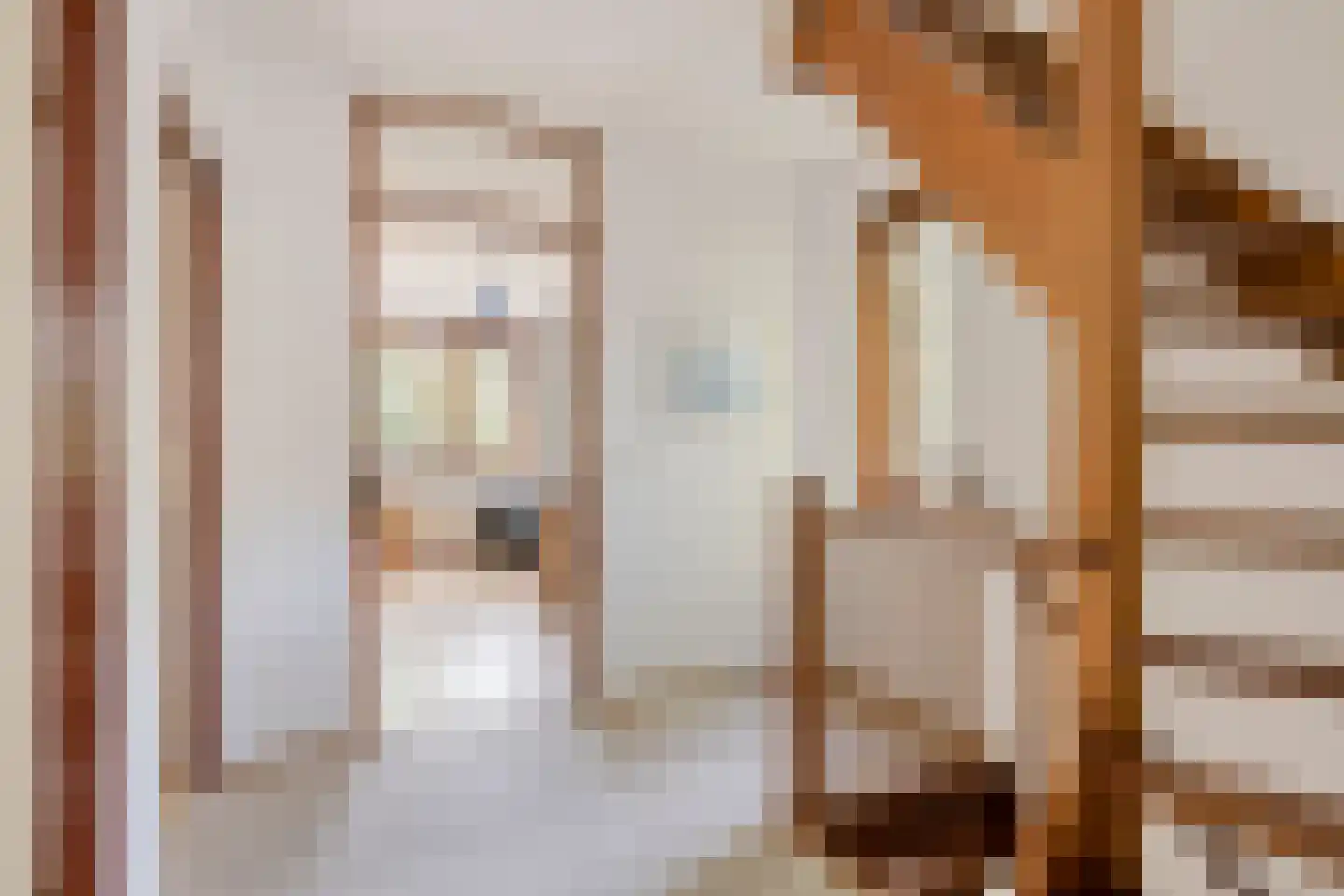 Mr. J.L. Hamminglaan 12 Waalre thumbnail 20