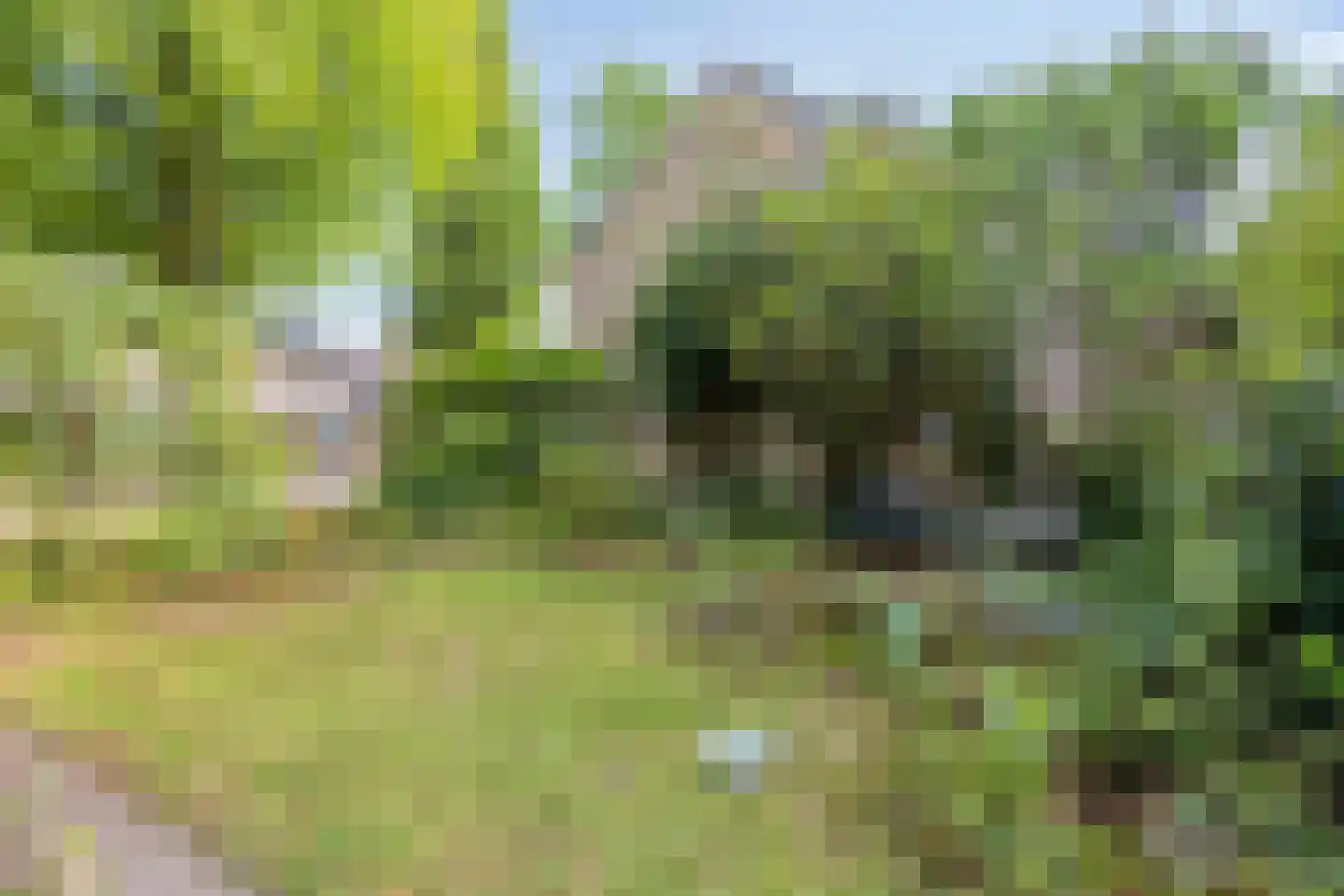 Mr. J.L. Hamminglaan 12 Waalre thumbnail 34