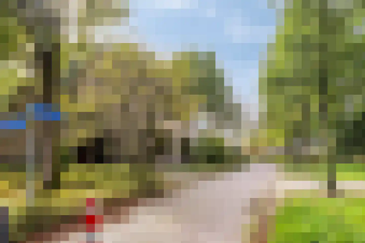 Mr. J.L. Hamminglaan 12 Waalre thumbnail 36