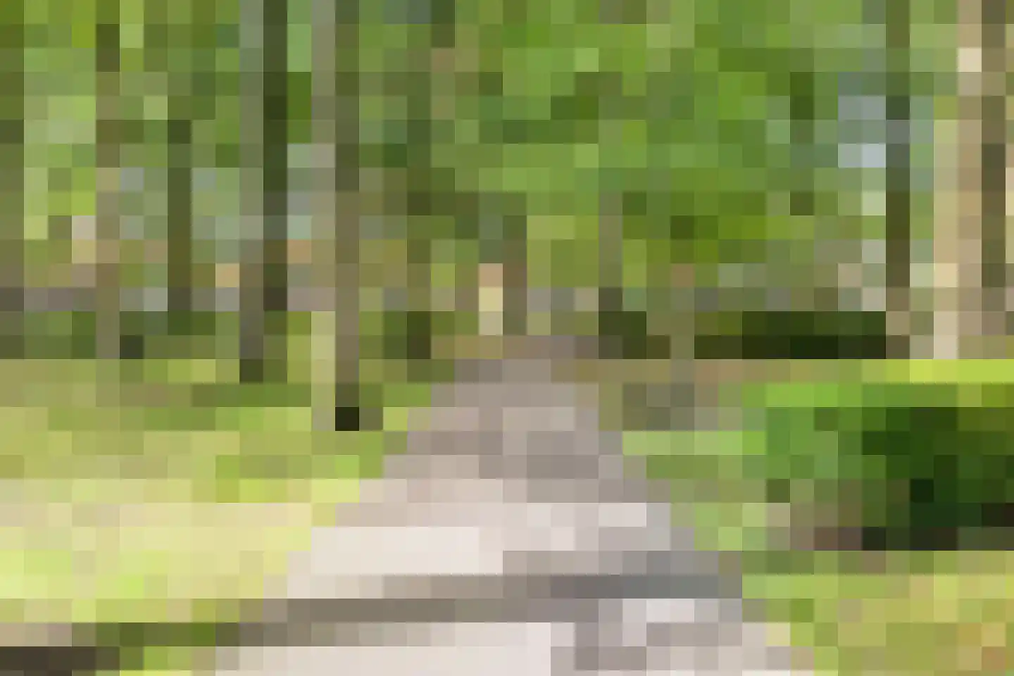 Mr. J.L. Hamminglaan 12 Waalre thumbnail 39