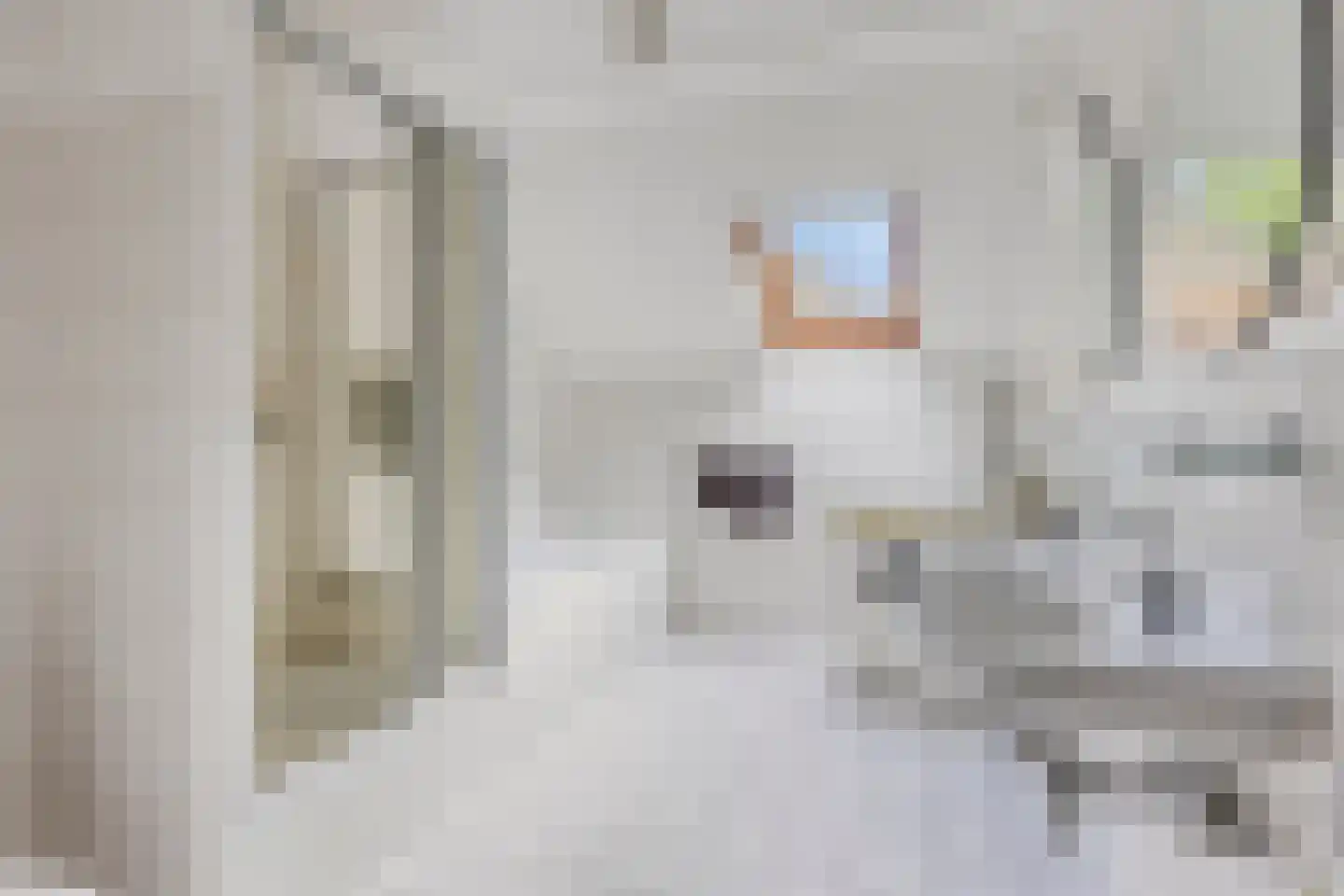 Mr. J.L. Hamminglaan 12 Waalre thumbnail 4