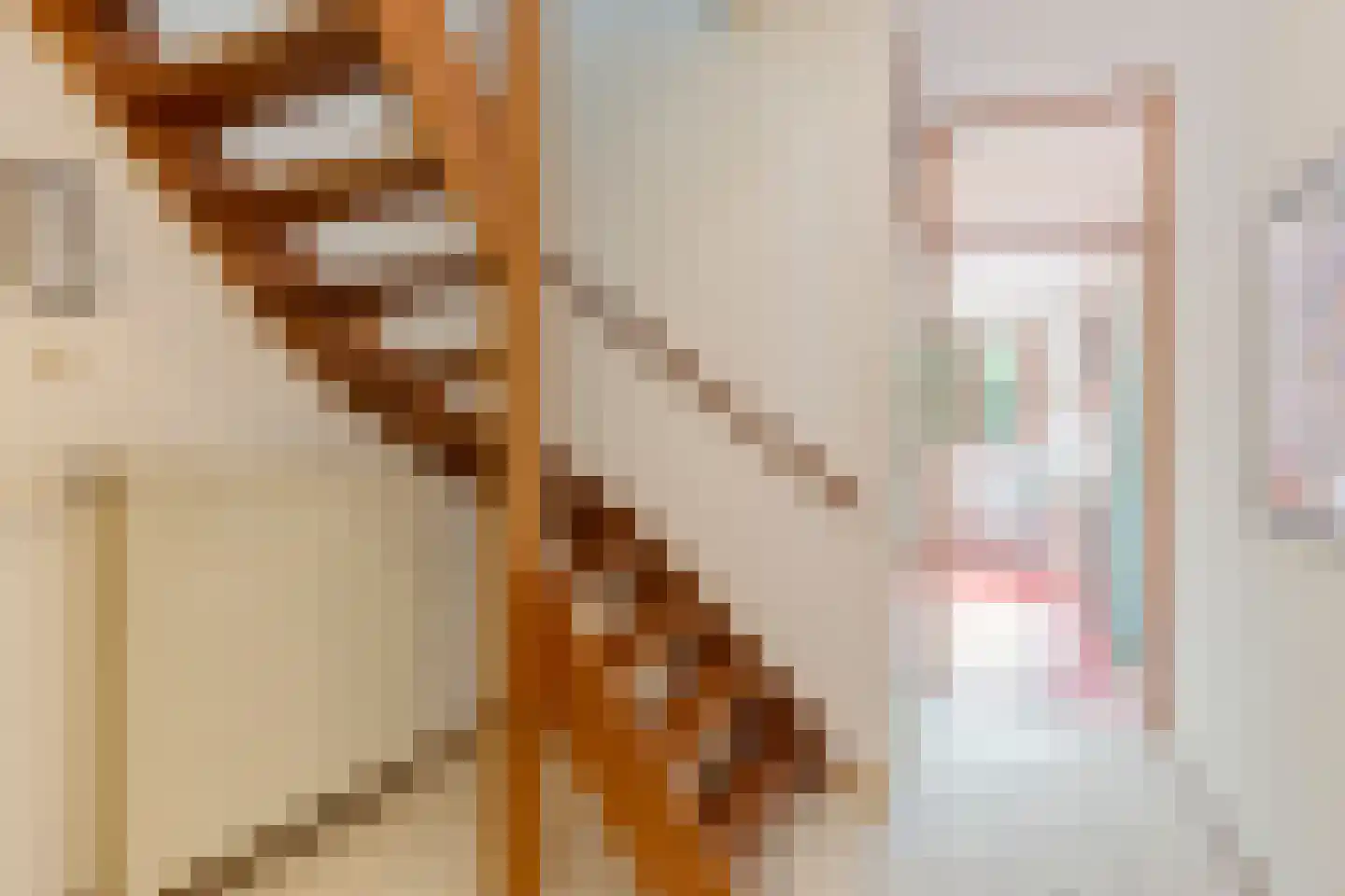 Mr. J.L. Hamminglaan 12 Waalre thumbnail 6