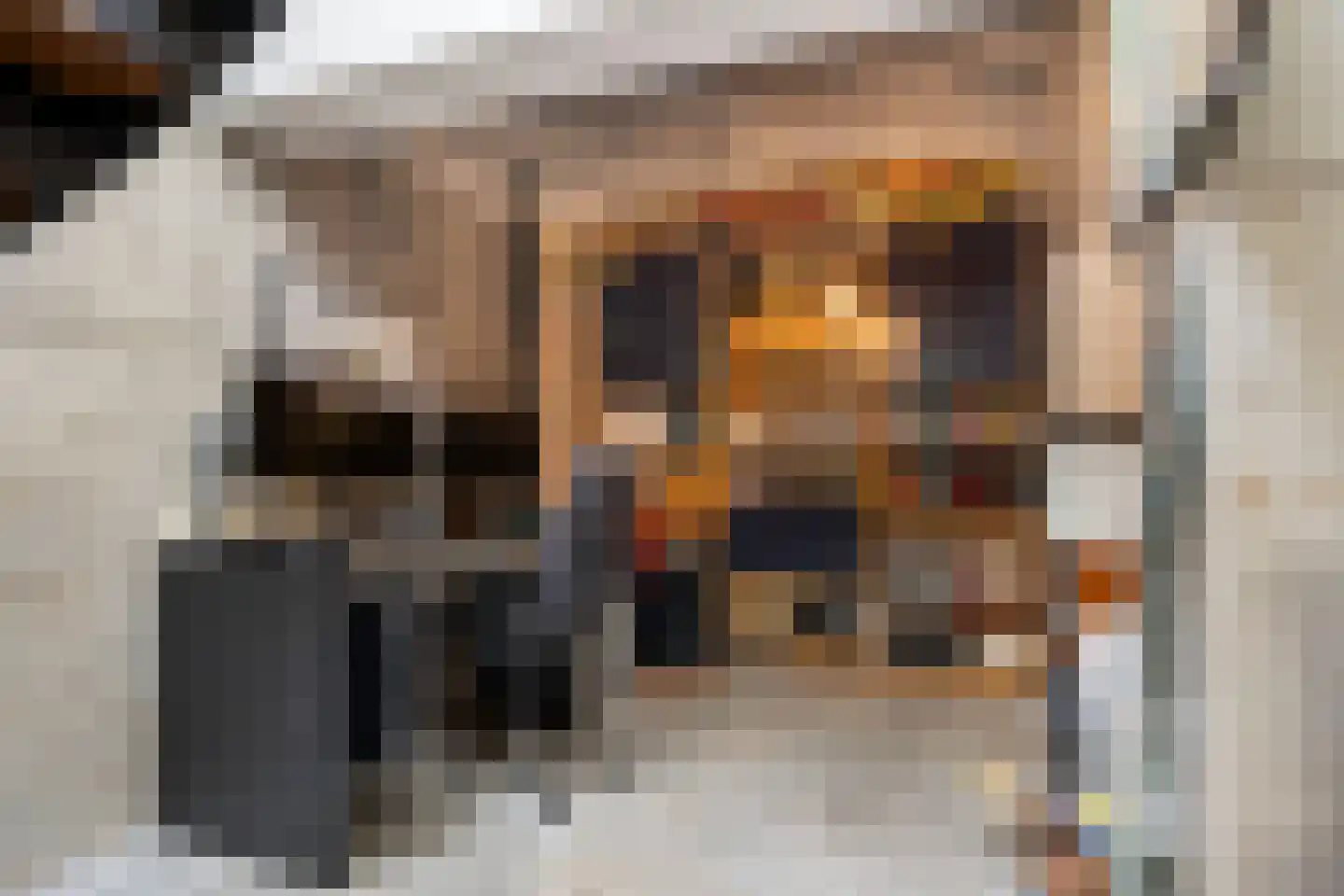Mr J.M. de Kempenaersingel 56 Arnhem thumbnail 19