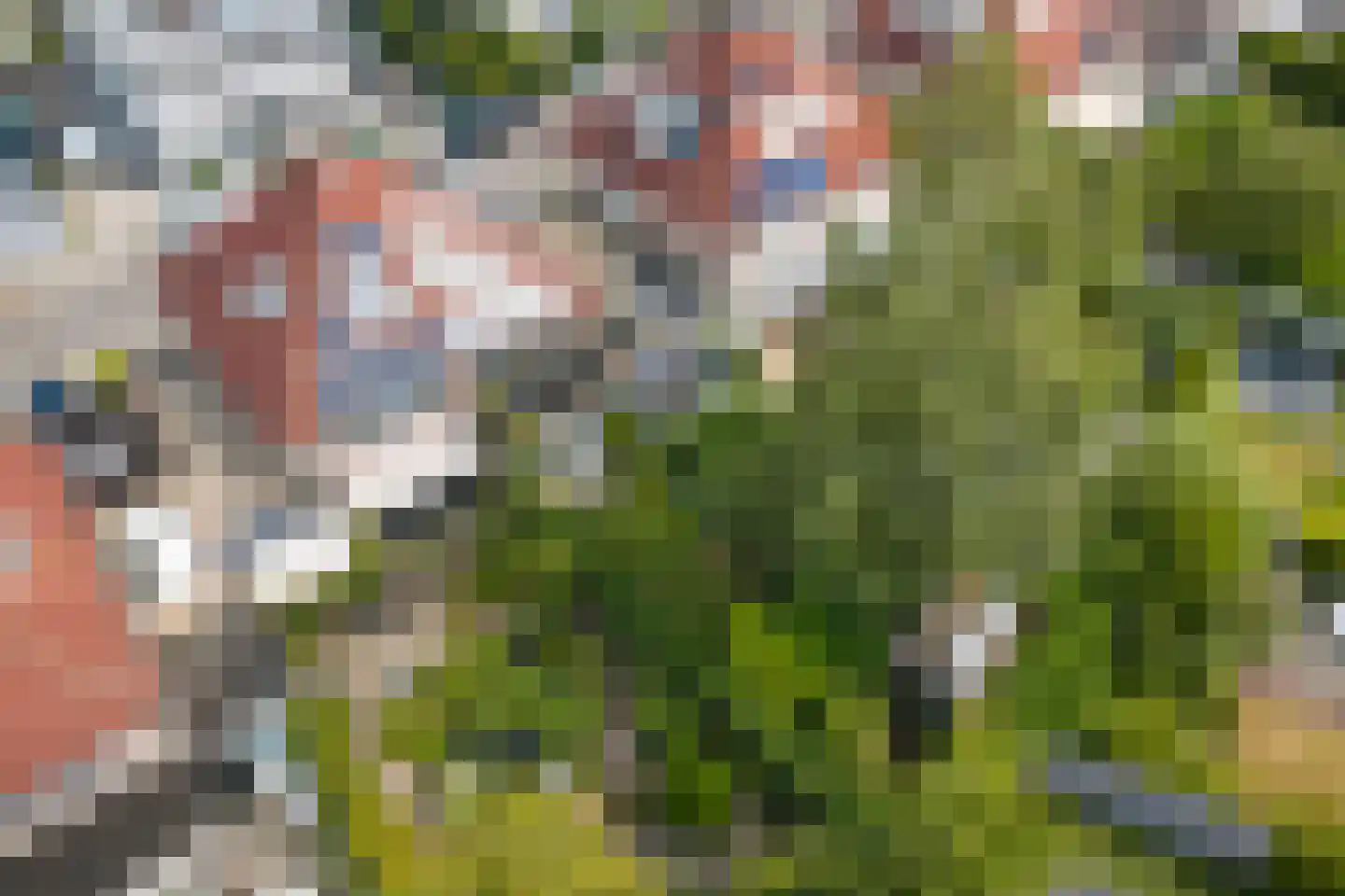 Mr J.M. de Kempenaersingel 56 Arnhem thumbnail 44