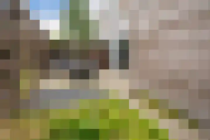 Mr J.M. de Kempenaersingel 63 Arnhem thumbnail 17