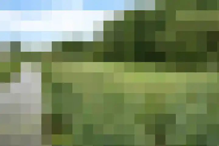 Mr J.M. de Kempenaersingel 63 Arnhem thumbnail 44