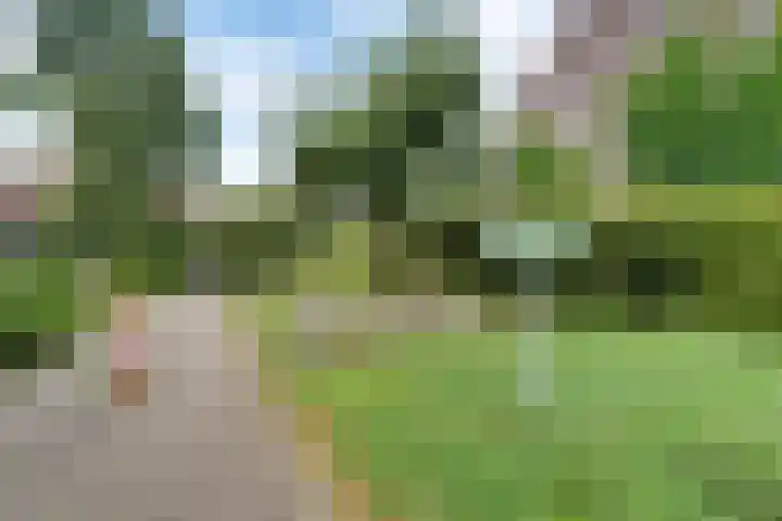 Mr J.M. de Kempenaersingel 63 Arnhem thumbnail 46