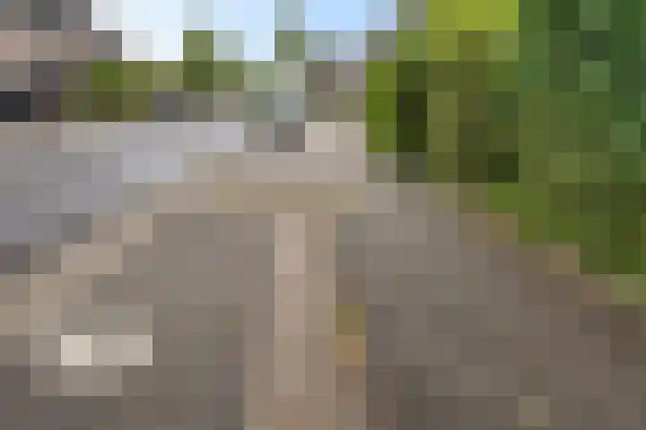 Mr J.M. de Kempenaersingel 63 Arnhem thumbnail 47