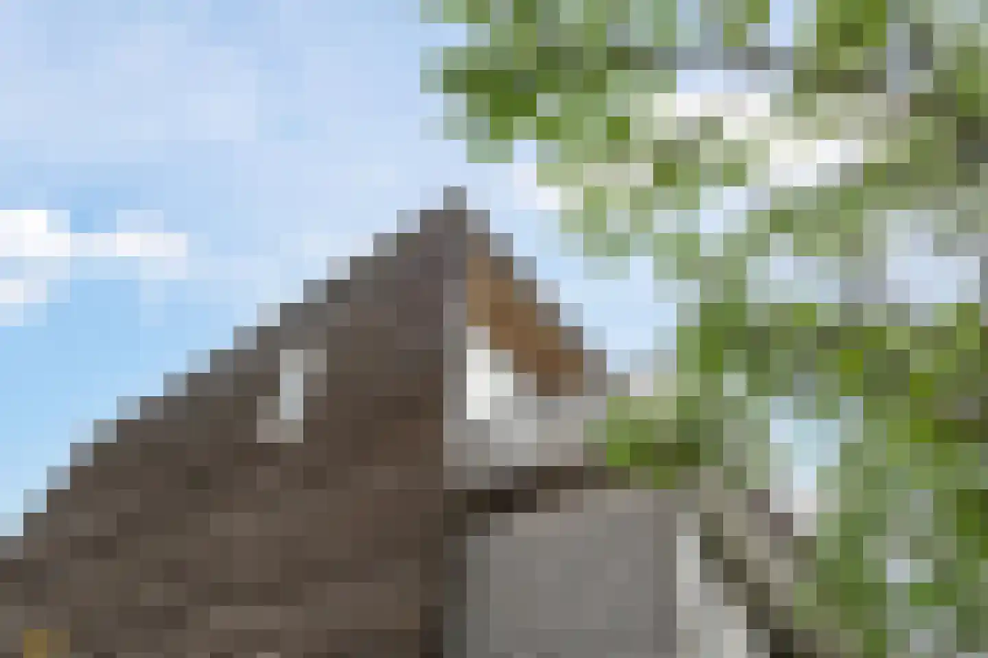 Mr J.M. de Kempenaersingel 71 Arnhem thumbnail 7