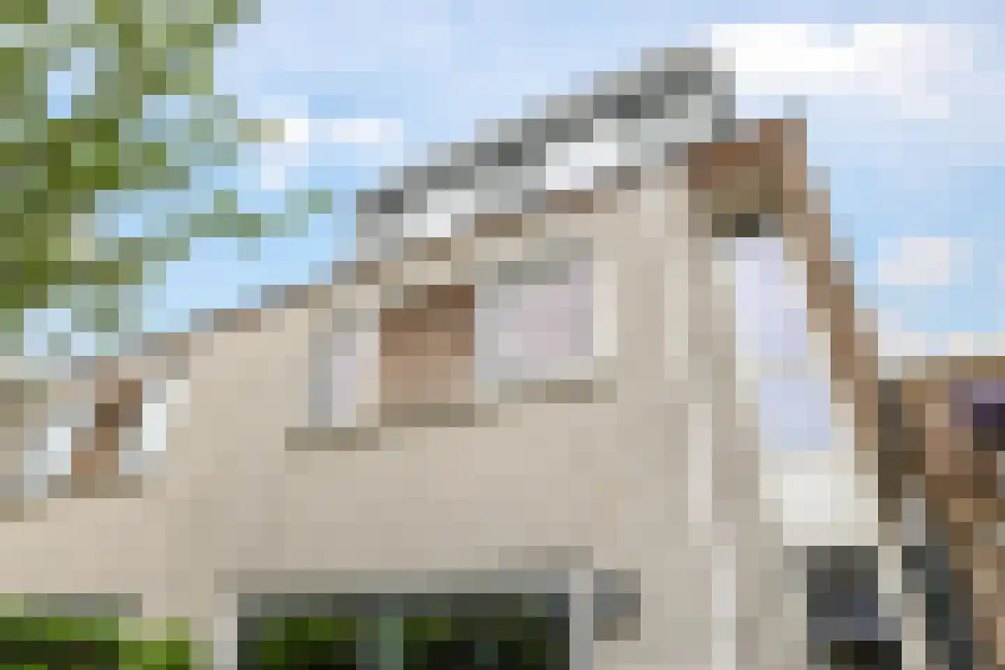 Mr J.M. de Kempenaersingel 71 Arnhem thumbnail 71