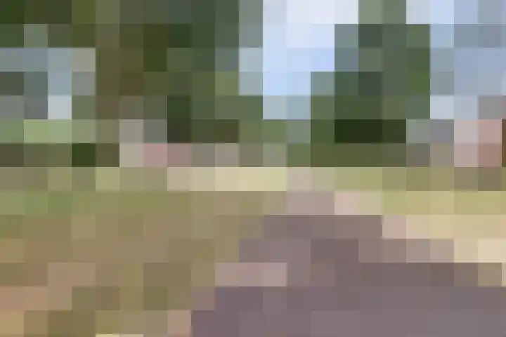 Mr J.M. de Kempenaersingel 87 Arnhem thumbnail 44