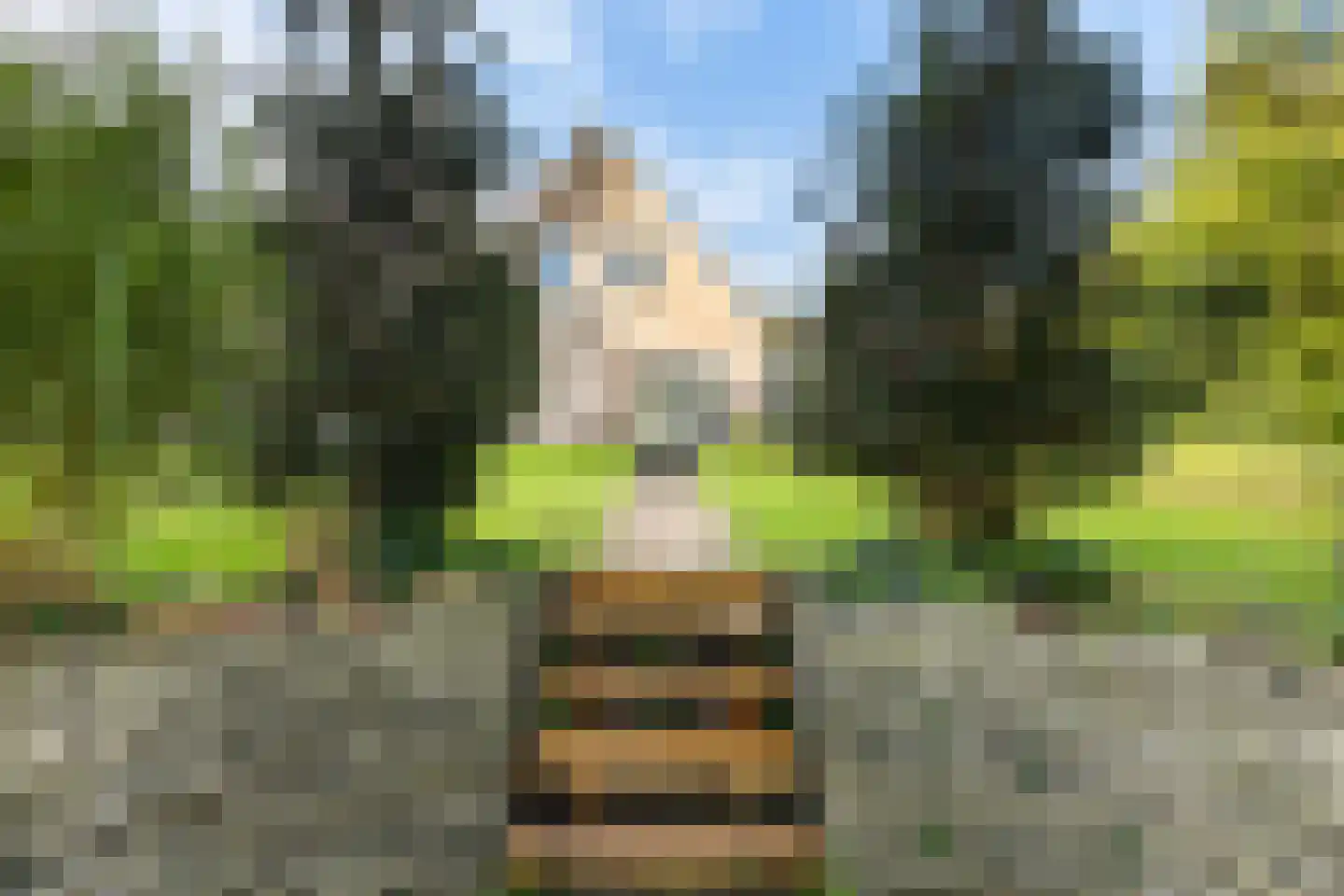 mr. J.P. Miedemastraat 48 Dokkum thumbnail 36