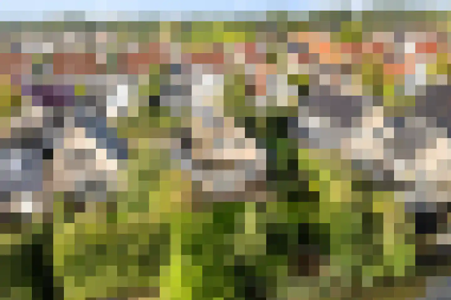 mr. J.P. Miedemastraat 48 Dokkum thumbnail 5