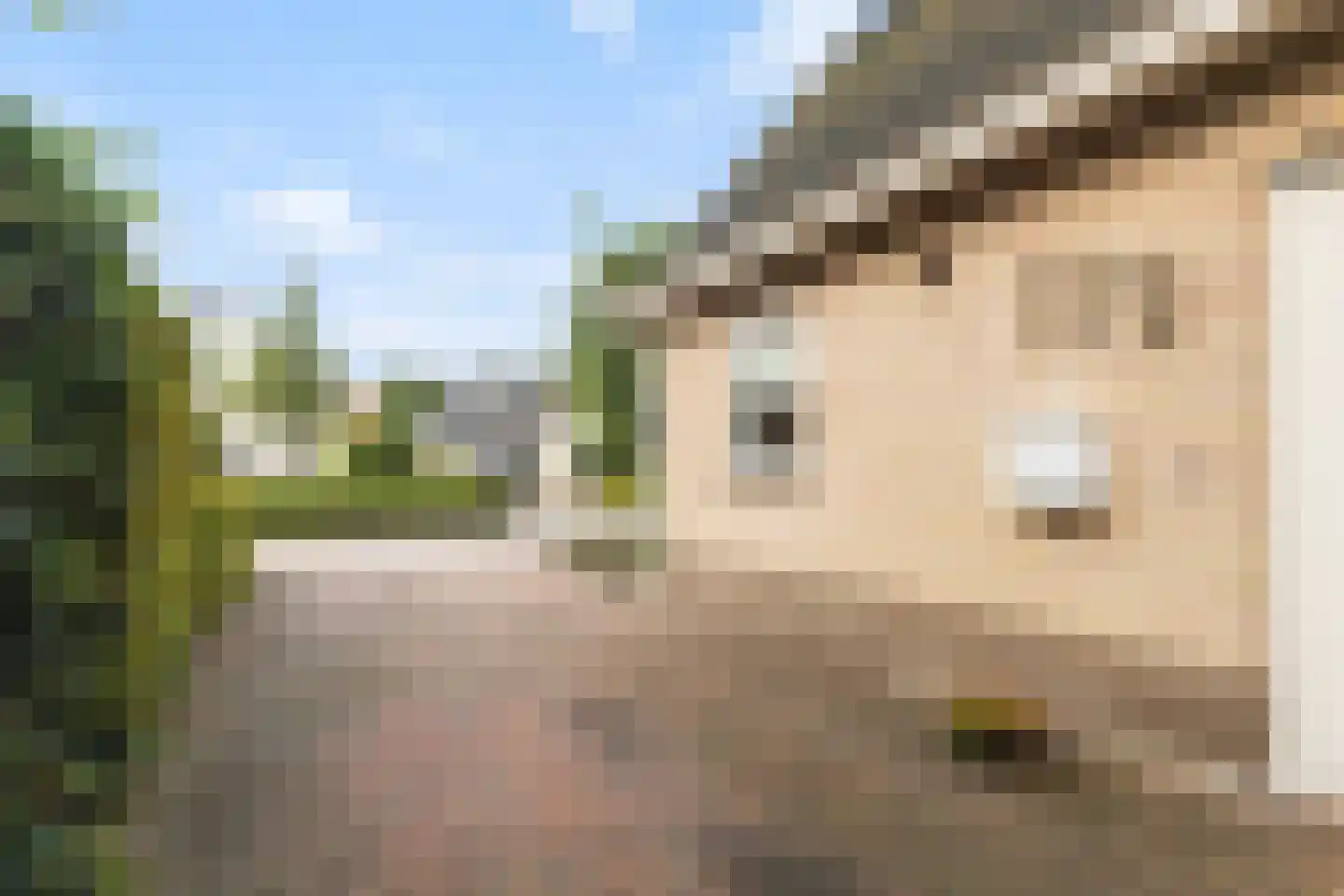 mr. J.P. Miedemastraat 48 Dokkum thumbnail 55