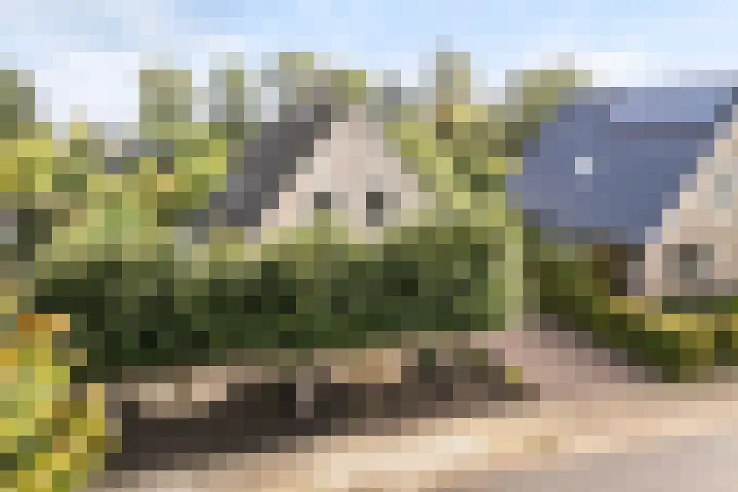 mr. J.P. Miedemastraat 48 Dokkum thumbnail 58