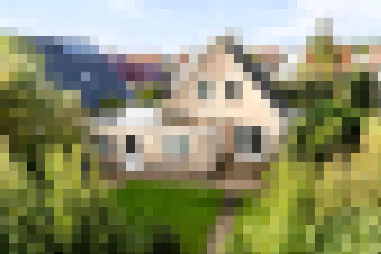mr. J.P. Miedemastraat 48 Dokkum thumbnail 59