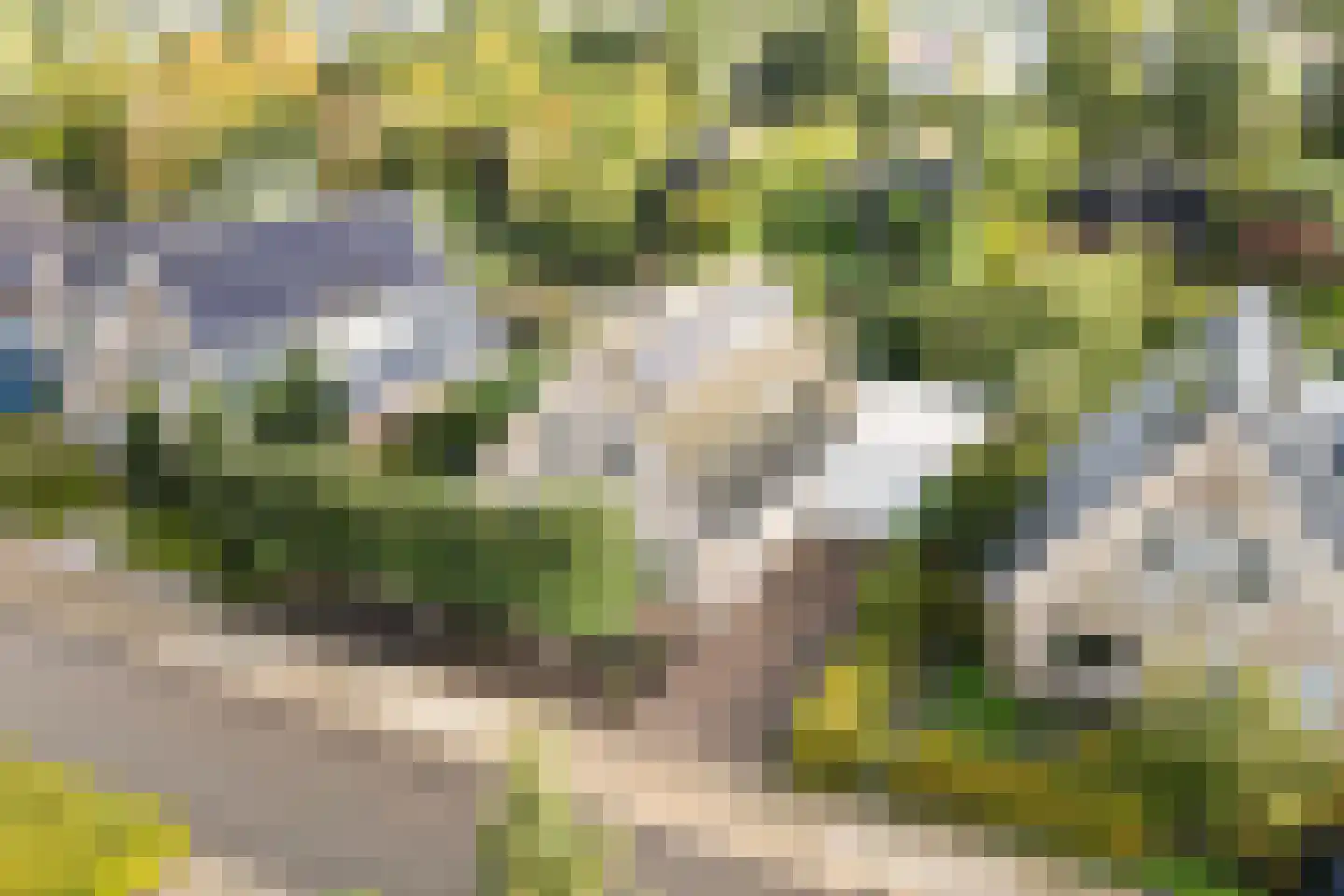 mr. J.P. Miedemastraat 48 Dokkum thumbnail 8